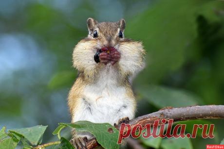 ✿ღ✿Лучшие фото недели✿ღ✿