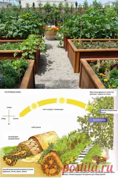 Сооружаем теплые грядки своими руками / Огород / 7dach.ru