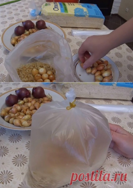 Сам себе мастер