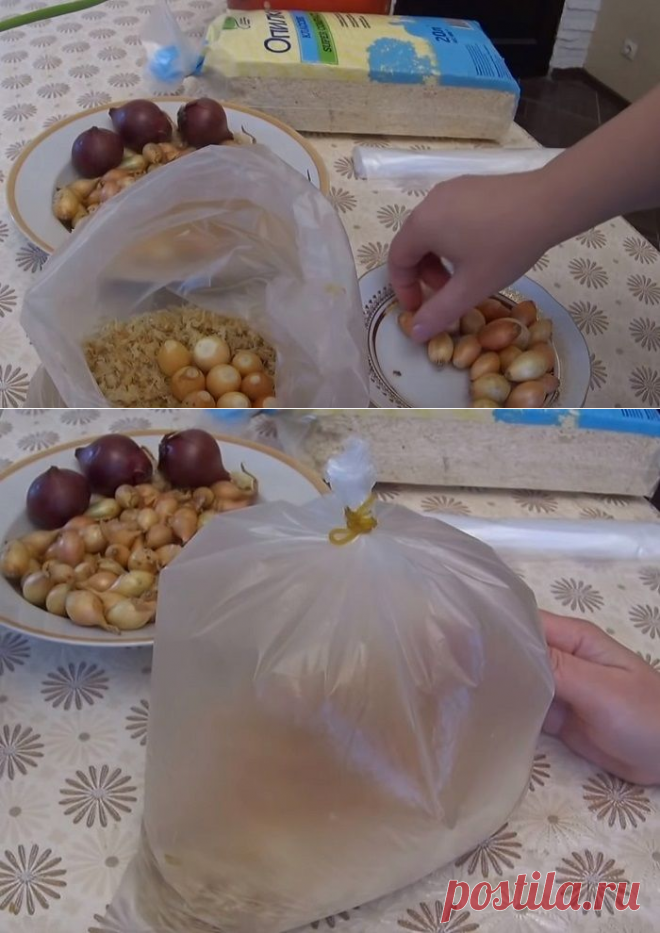 Сам себе мастер