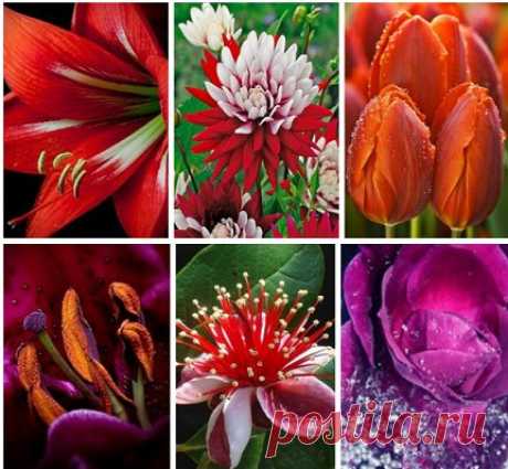 «Ты свихнулся на старости лет!» -
На отца дочь на кухне орала.
«Ни стыда и ни совести нет!
Жизни, что ли, тебе было мало?!
Ты уже не мальчишка давно!
Бес в ребро или что-то похуже?
Дед жениться задумал – кино!
Что молчишь?» - напустилась на мужа.
Зять пощипывал тоненький ус,
Прикрывая усмешку рукою
И бубнил: «Я судить не берусь,
Это личное… дело такое…&quot;
&quot;Он же старый, она - молода!
Двадцать лет - не пустяк, между прочим!»
«Да тебе-то какая беда?!» -