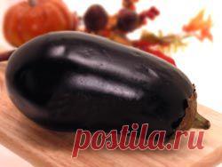 Что приготовить из баклажанов - ДАЧНИЦА