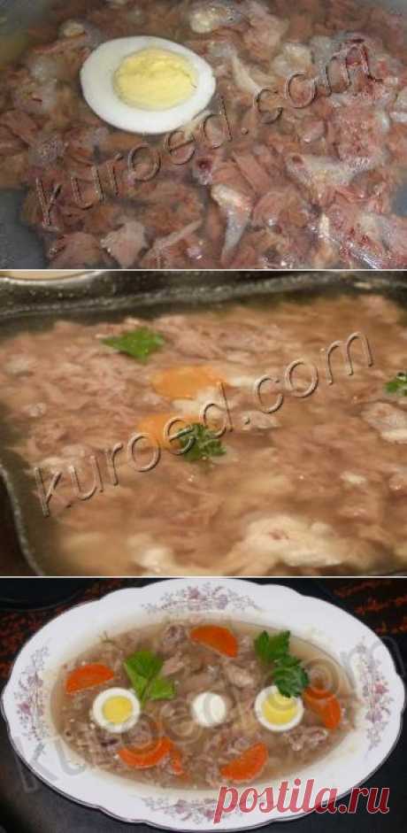 РЕЦЕПТЫ | Холодец
