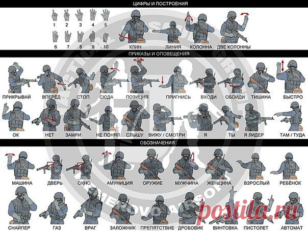 Стена | ВКонтакте