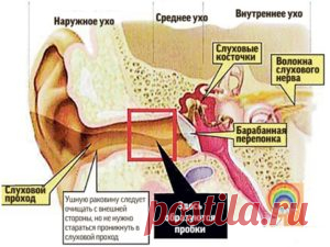 Капли в уши ремо вакс - инструкция и отзывы пациентов