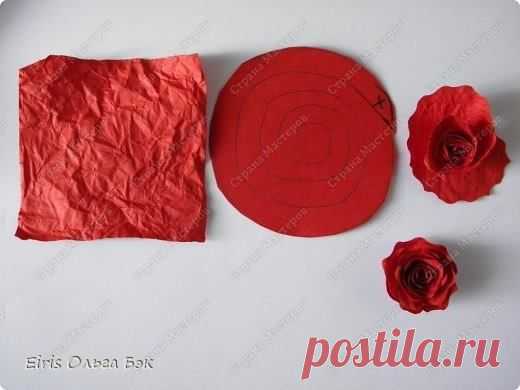 (6) Facebook