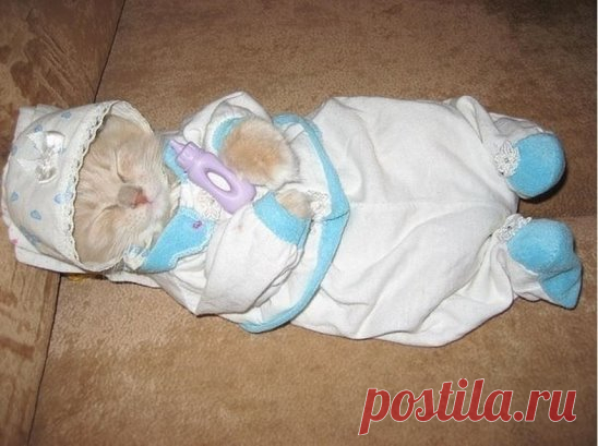 😜 Сегодня пришел домой, а там это. Кажется, жена на что-то намекает...