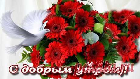 открытки хорошего настроения - Поиск в Google