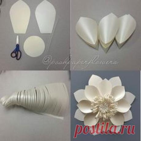 FLOR BLANCA TORNILLO