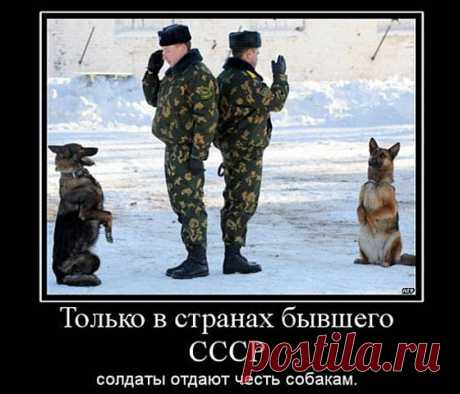 служба