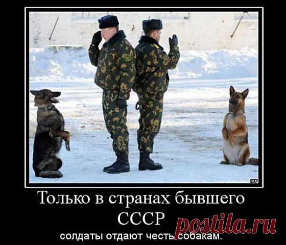 служба