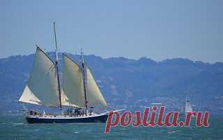 Schooner than later. | Flickr - Photo Sharing!