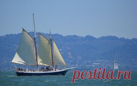 Schooner than later. | Flickr - Photo Sharing!