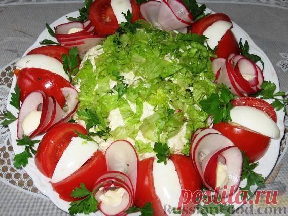 50 рецептов овощных салатов с пошаговыми фото.