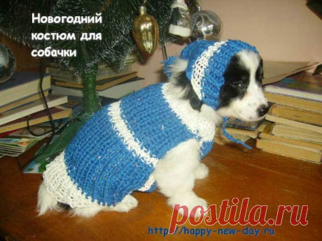 » Новогодняя одежда для собаки своими руками с инструкцией и фото