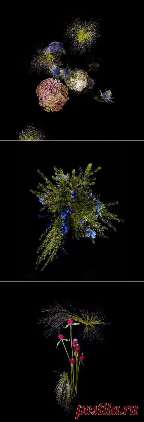 Цветочные «фейерверки»