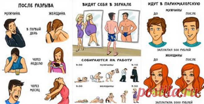 ЯРКИЕ РАЗЛИЧИЯ МЕЖДУ МУЖЧИНАМИ И ЖЕНЩИНАМИ В СМЕШНЫХ КАРТИНКАХ! Вот забавные и честные комиксы об отличиях мужчин и женщин. Да, они есть, но они не мешают главному: пусть мы разные, но жить друг без друга не можем.

Забавный, веселый и жизненный комикс о разнице м…