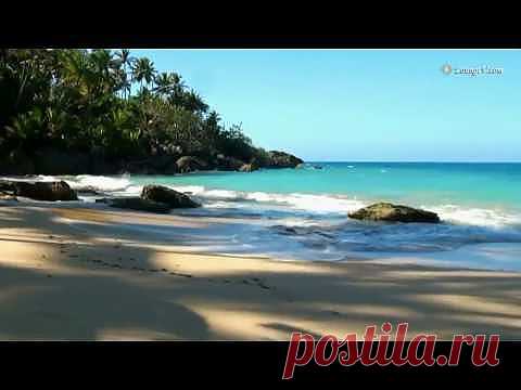 Красивый видео-релакс и медитация