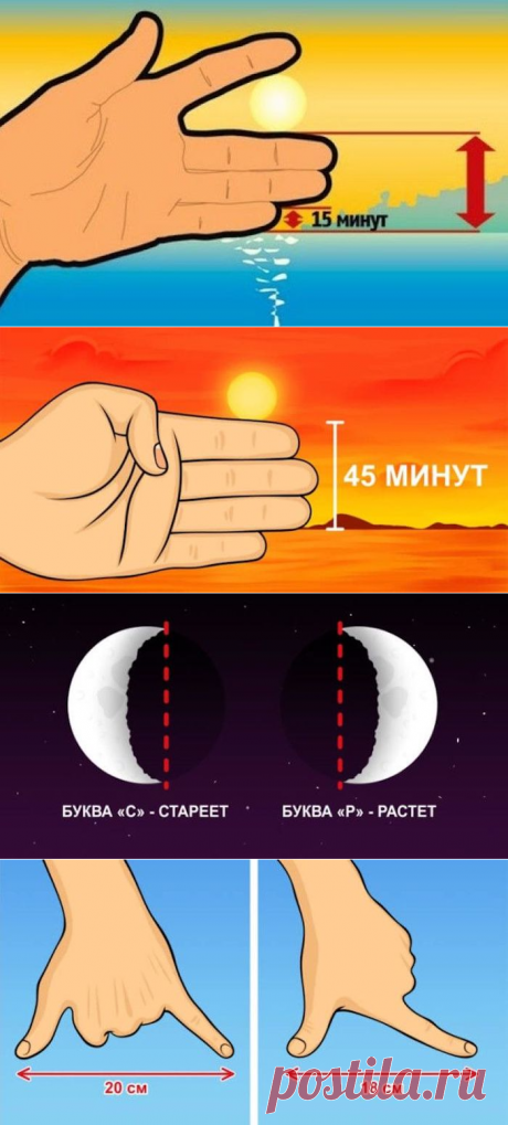 8 школьных «шпаргалок», которые точно пригодятся каждому взрослому — Лайфхаки