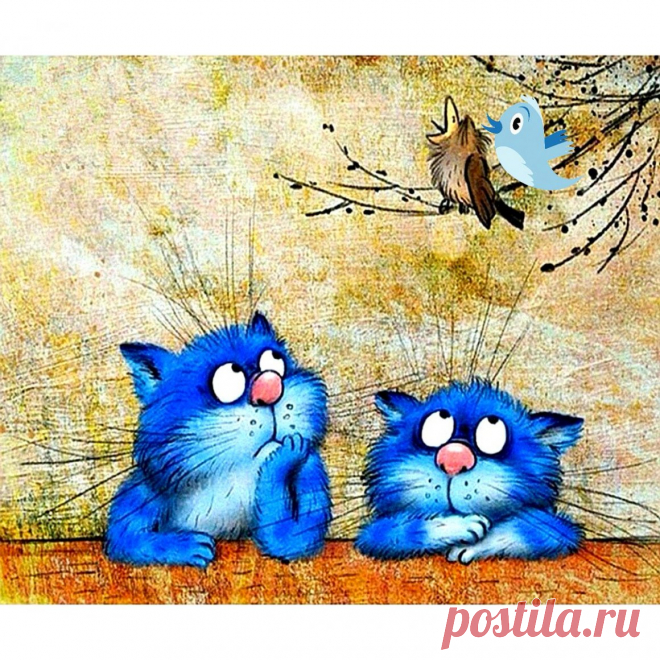 Голубые коты Ирины Зенюк - 61 фото - картинки: смотреть онлайн
