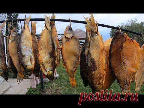 Рыба Сухого Посола Копчение Рыбы Холодным Копчением