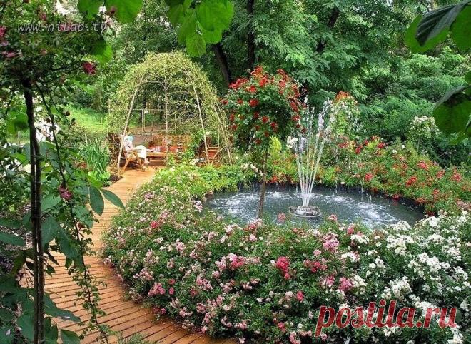 (48) Одноклассники