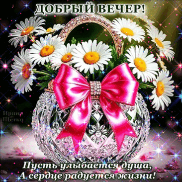 Добрый вечер!