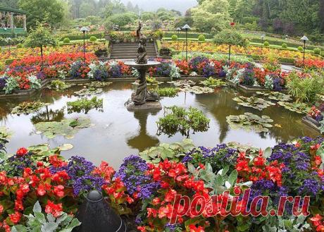 ФотоТелеграф » Самые красивые цветочные плантации и парки мира
