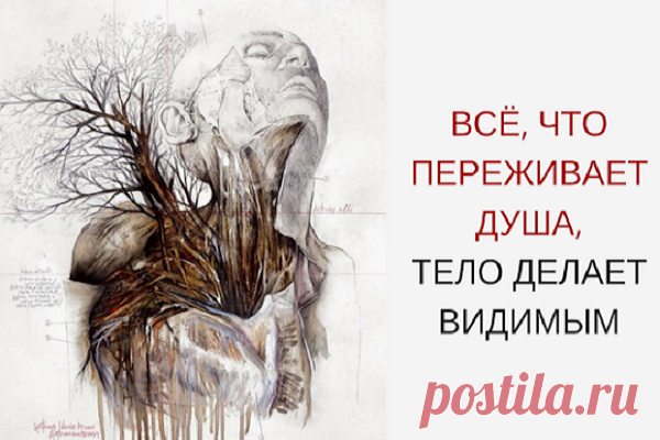 Всё, что переживает душа, тело делает видимым