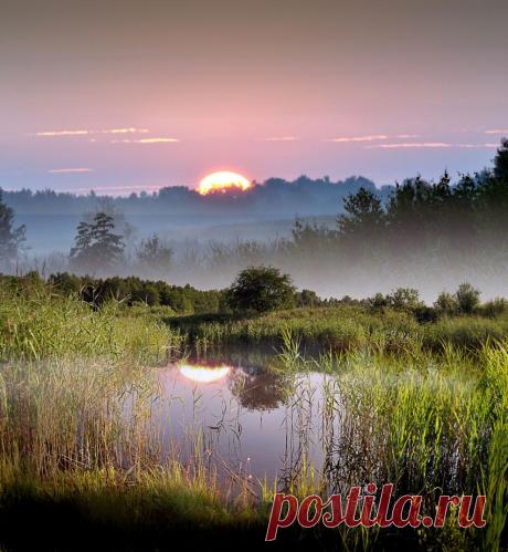 Утренний туман | National Geographic Россия