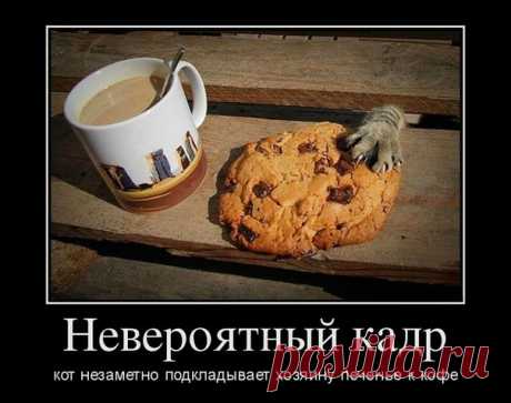 Советую делать самодельные козинаки. Это не только лакомство. Для спортсменов это отличный перекус. Кроме того, они укрепляют иммунитет и способствуют хорошему опорожнению кишечника. 

Рецепт такой. Взять овсяные хлопья – 200 гр, любые орехи – 120 гр, любой мёд – 3 столовые ложки, сахар – 70 гр, сухофрукты – 150 гр (из сухофруктов можно выбрать практически любые,
Показать полностью…