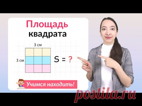 Площадь квадрата. Как найти площадь квадрата?