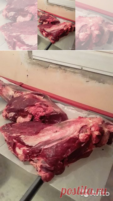 Мясо,говядина для собак купить в Белгороде | Животные и зоотовары | Авито