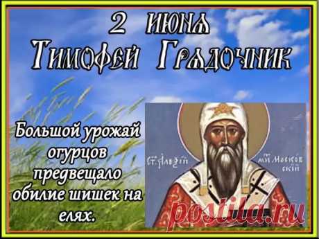 Желаю счастья, и здоровья,
И вереницу чудных дней,
И дом, наполненный любовью,
Открытый вами для друзей.