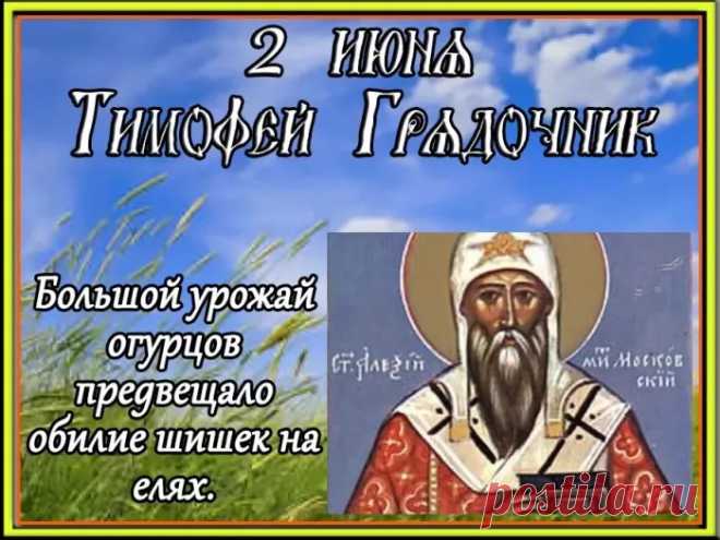 Желаю счастья, и здоровья,
И вереницу чудных дней,
И дом, наполненный любовью,
Открытый вами для друзей.