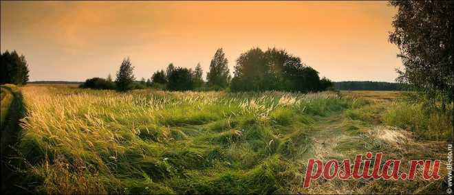 bfoto_ru_1491.jpg (1001×430)