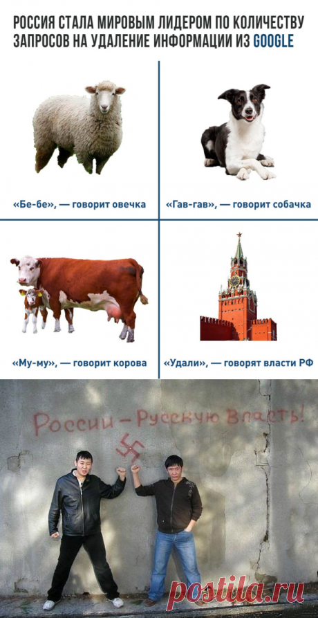 Роисся вперде-10