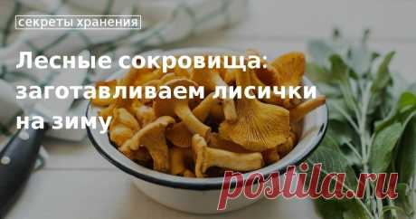 Заготовка лисичек на зиму в банках: подборка от Едим Дома, рецепты с грибами Как законсервировать лисички на зиму: простые рецепты маринования грибов в банках. Как сохранить грибы на зиму, рецепты блюд с лисичками.