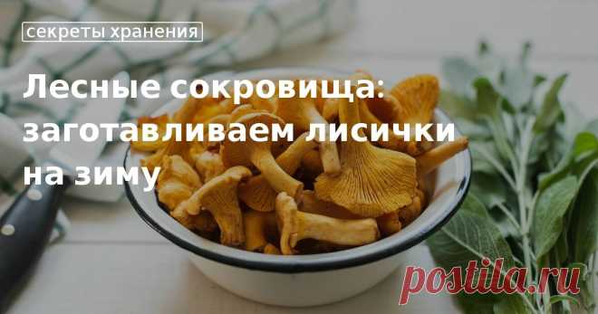 Заготовка лисичек на зиму в банках: подборка от Едим Дома, рецепты с грибами Как законсервировать лисички на зиму: простые рецепты маринования грибов в банках. Как сохранить грибы на зиму, рецепты блюд с лисичками.