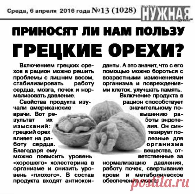 Приносят ли нам пользу грецкие орехи?