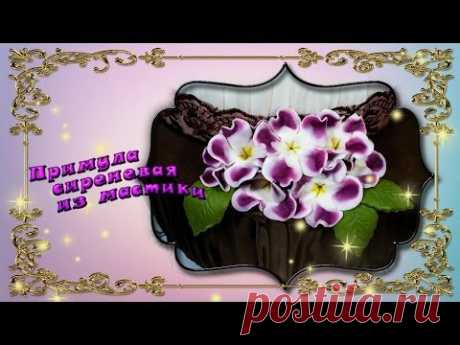 Цветы из мастики мк. Примула из мастики - YouTube