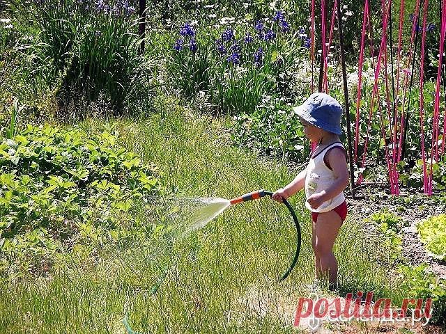 10 «ПОМОЩНИКОВ» ДАЧНИКА: Группа Практикум садовода и огородника