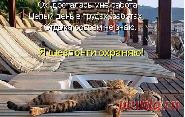 Фотографии на стене сообщества | 8 214 фотографий