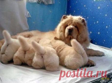 С юмором по жизни ☺☺☺