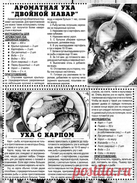 Ароматная уха &quot;Двойной навар&quot;. Уха с карпом