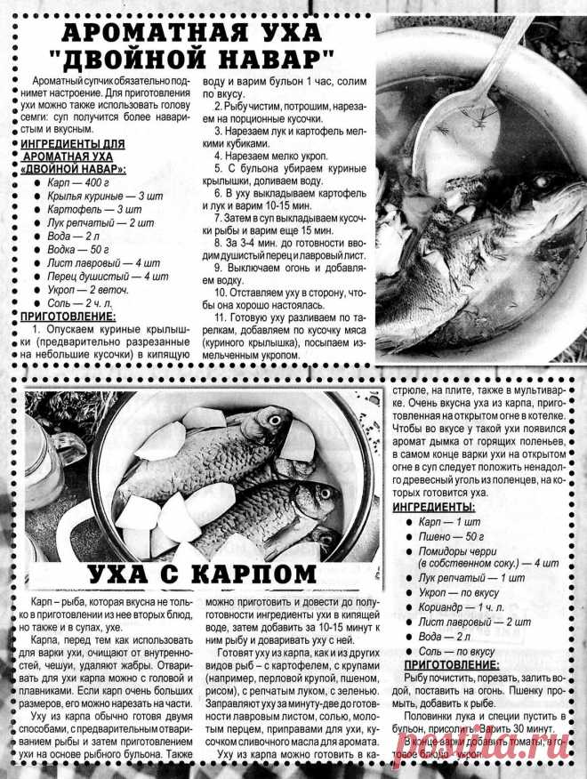 Ароматная уха "Двойной навар". Уха с карпом