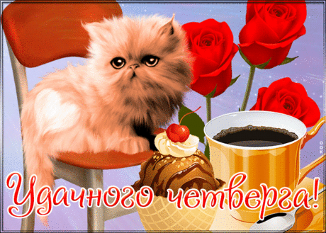 Открытка четверг с котенком