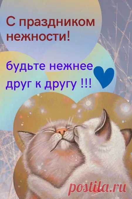 С Днем нежности, любви и ласки.