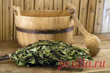 Березовый веник — на Руси издавна понимали в нем толк. Каждый парильщик знает, что только один вид этого веника вызывает прилив радости и восторга. Зеленый и пушистый – он не только хорош, как средство для парения, но и обладает биологическими целебными свойствами.