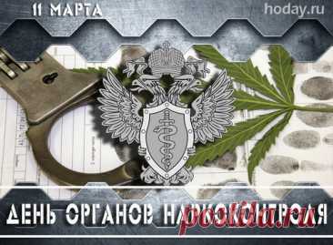 Наркоконтроля службы день!
Хотим мы вас поздравить.
Желаем множества идей,
Чтоб труд в веках прославить!